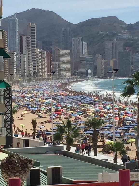La Gavina Benidorm Quarto foto